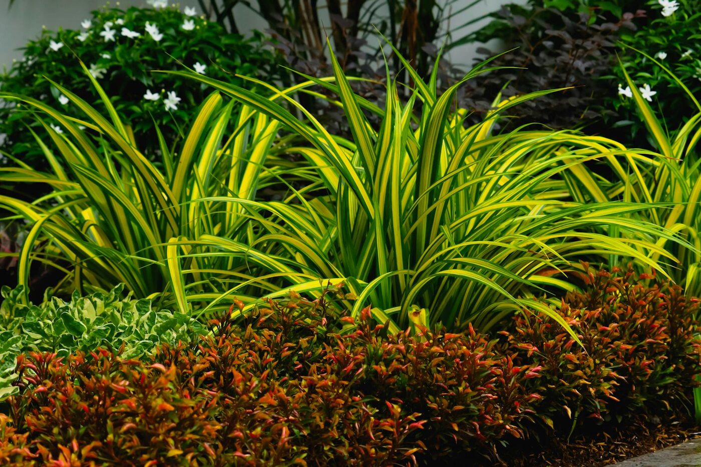 Planting & landscape design