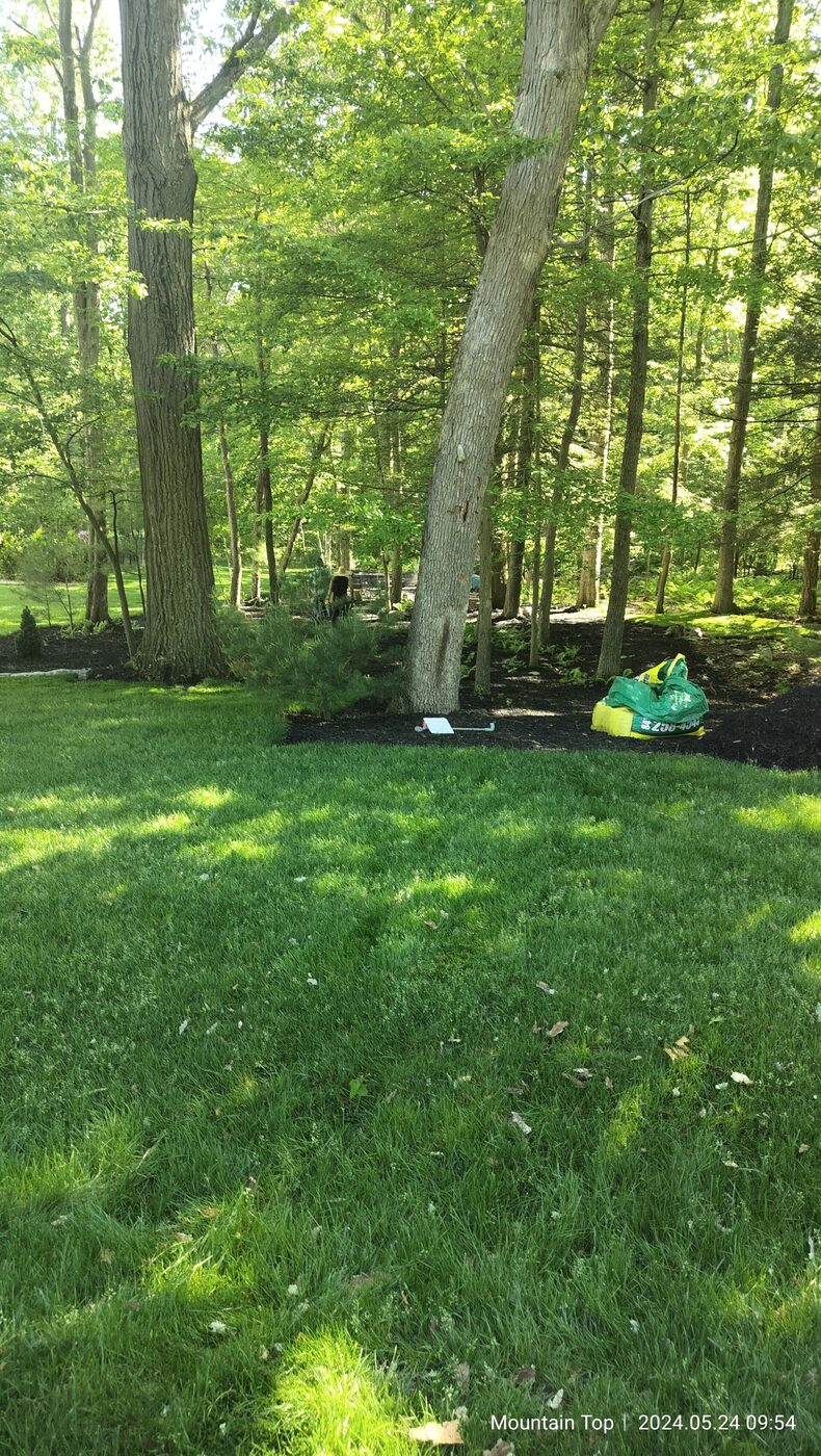 Lawn maintenance